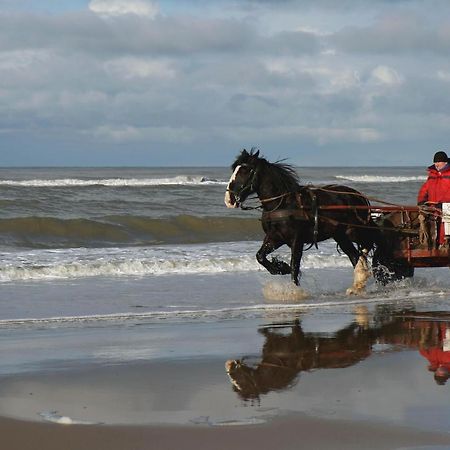 Centraal Aan Zee Lägenhet Egmond aan Zee Exteriör bild